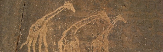Jirafas y Seres Humanos